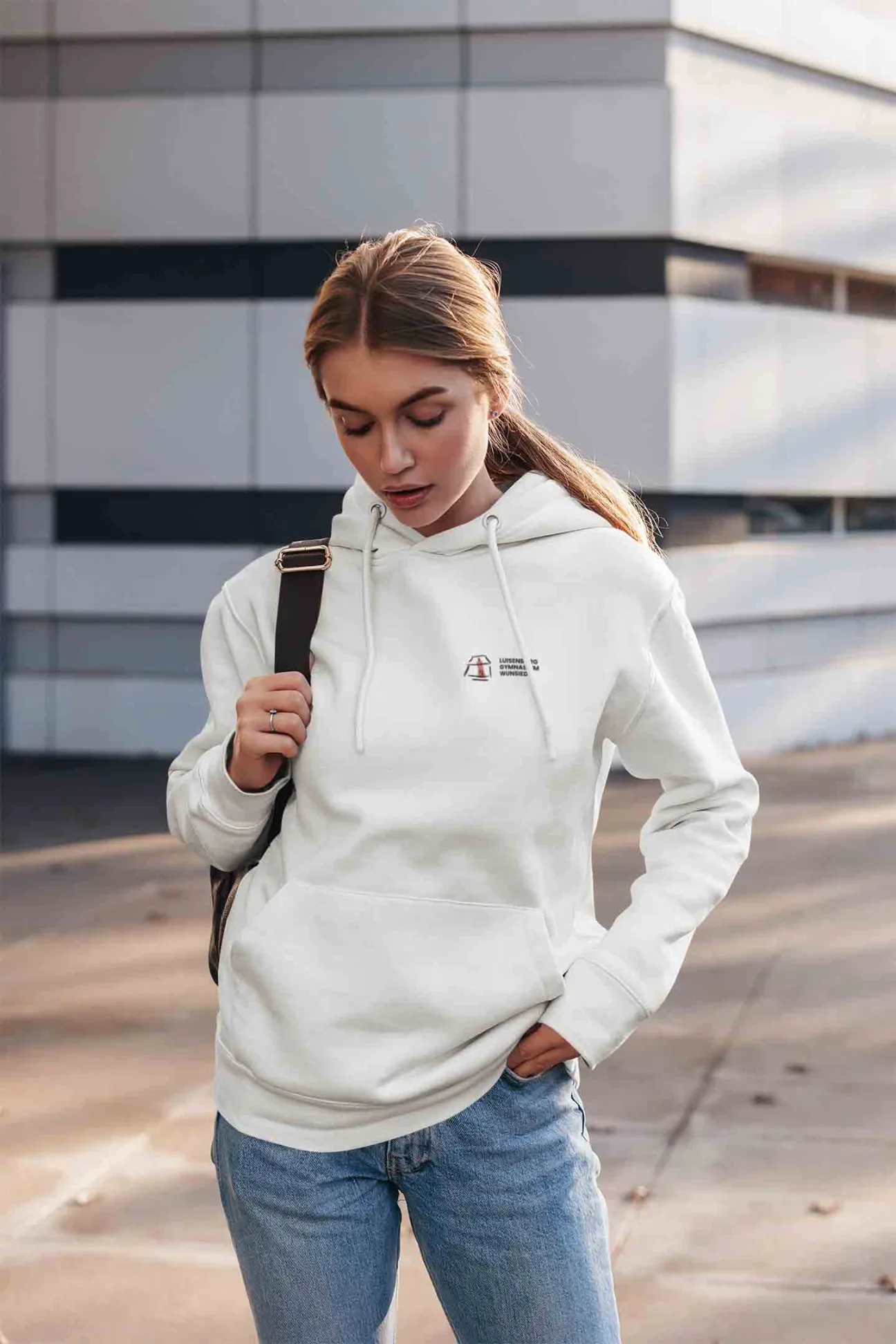 Luisenburg Gymnasium Wunsiedel Schulpullover