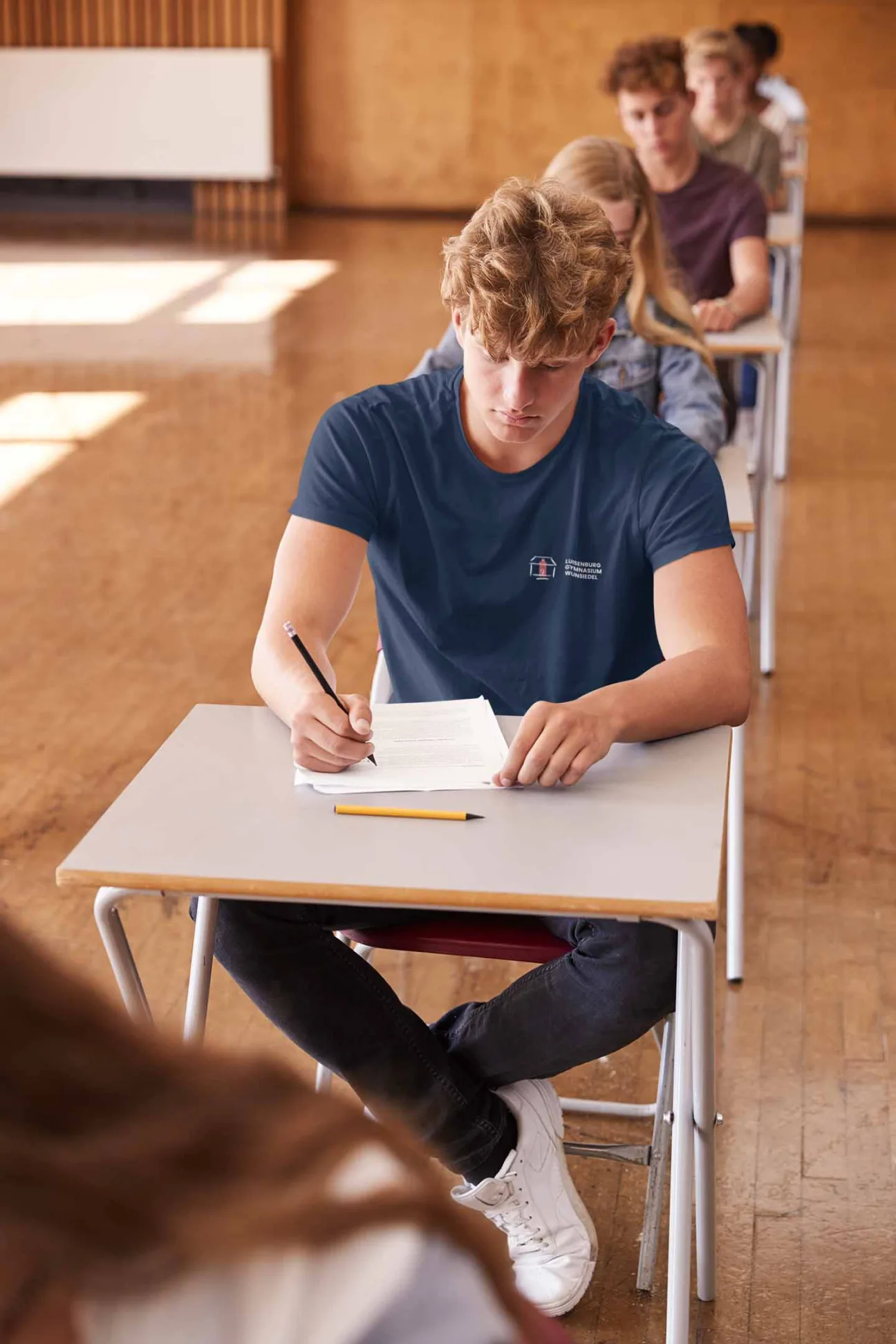 Luisenburg Gymnasium Wunsiedel Schulshirt
