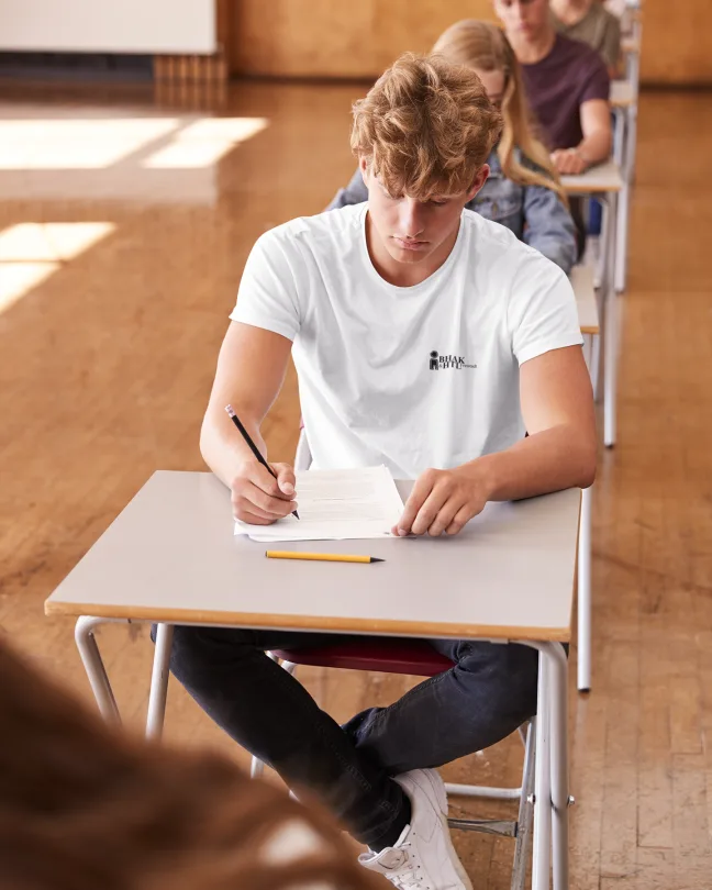 HAK/HTL Freistadt Schulshirt