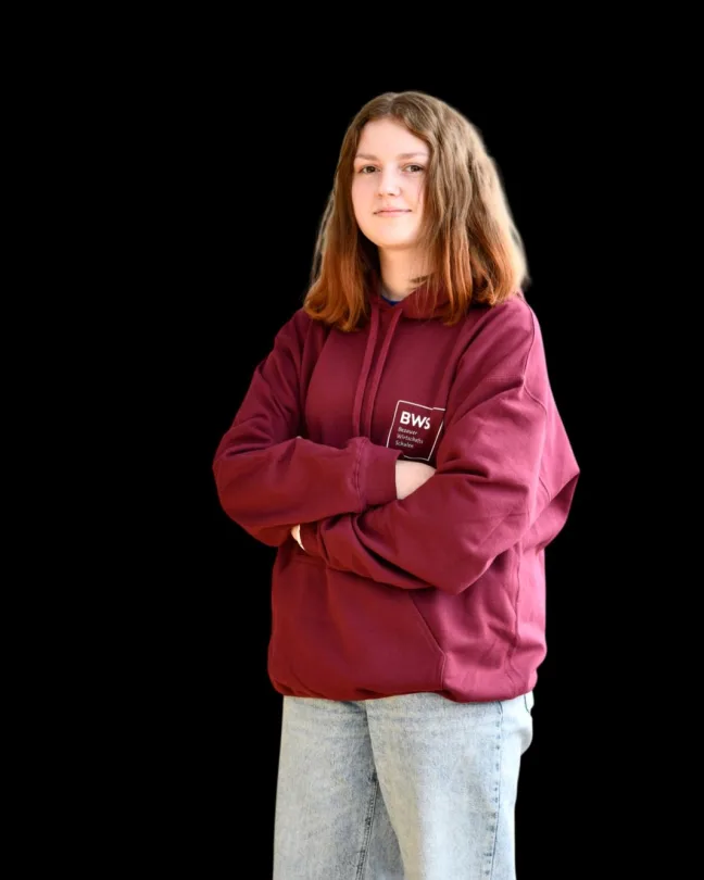 BWS Schulpullover
